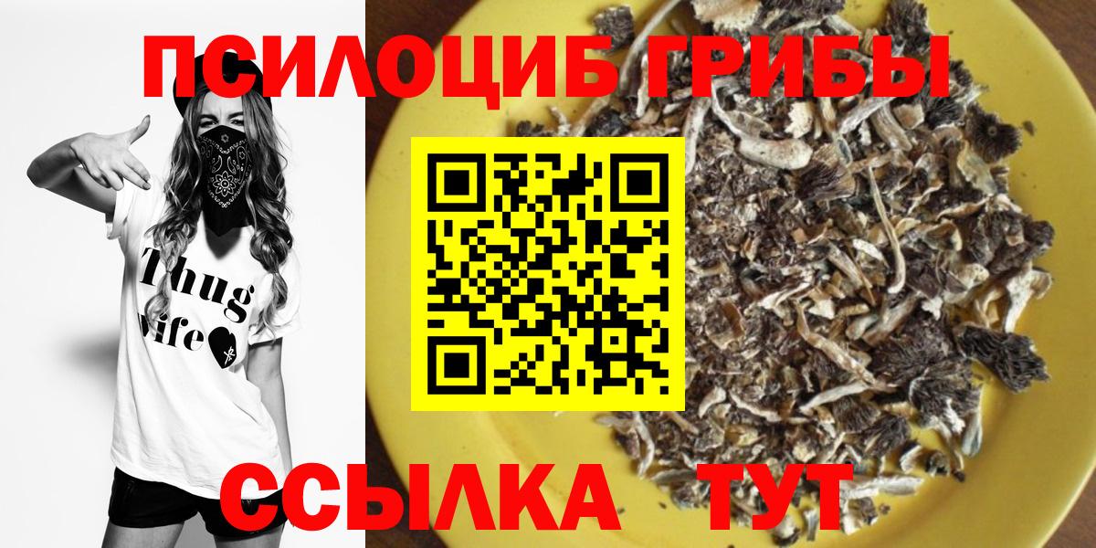 Псилоцибиновые грибы прущие грибы Клин