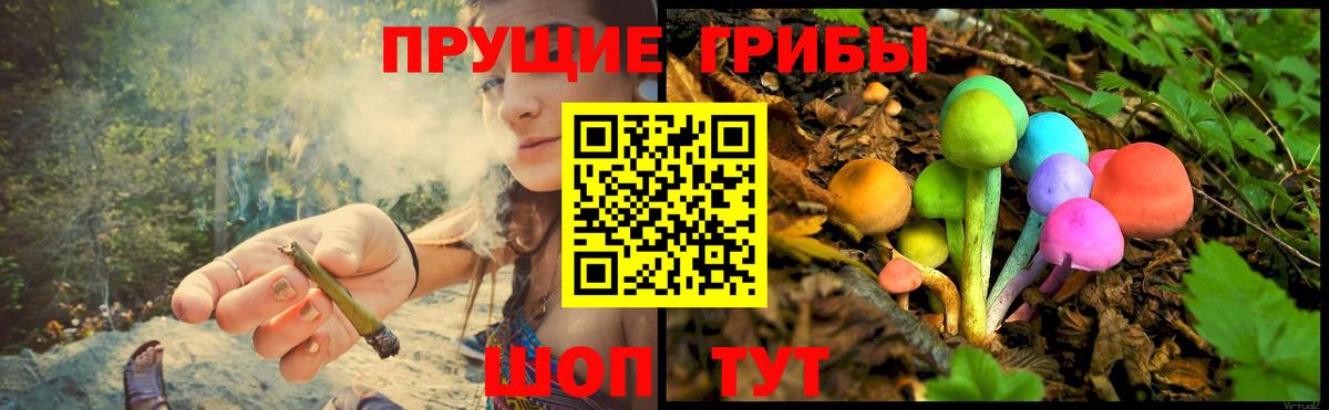 Галлюциногенные грибы GOLDEN TEACHER  Вход с VPN  Клин  купить   Галлюциногенные грибы Magic Shrooms 
